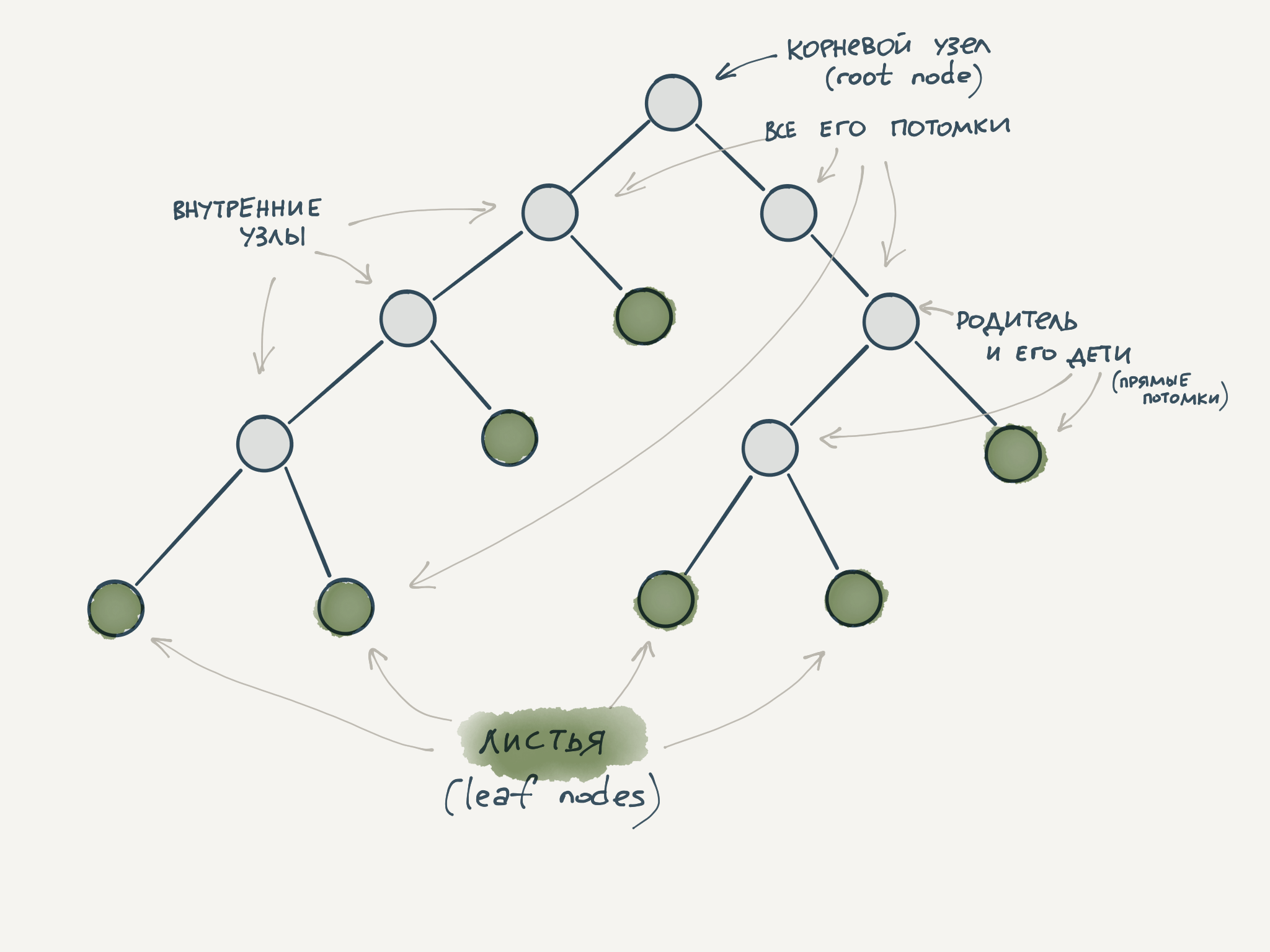 Tree Terminology