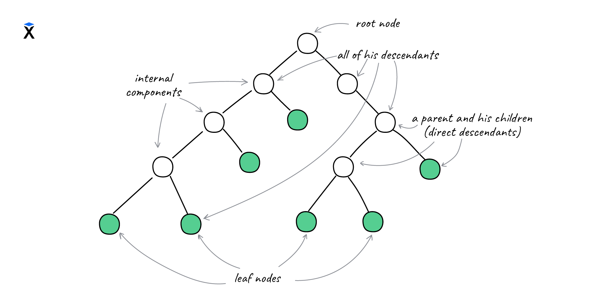 Trees: nodes and leaves