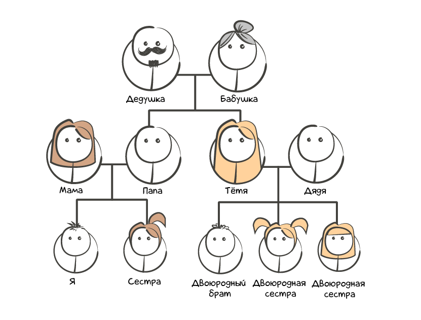 Пример генеалогического древа